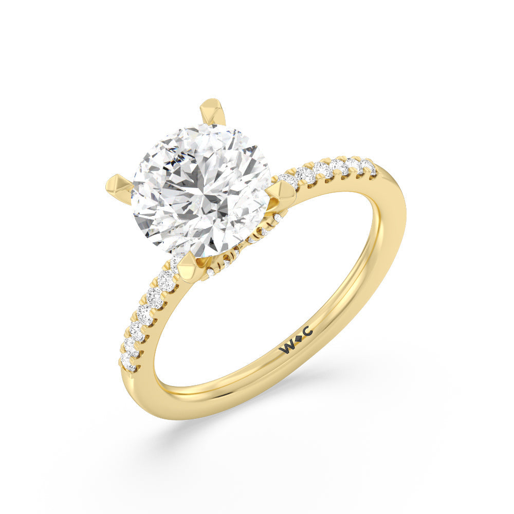 Arc Hidden Halo Engagement Ring (E+ VVS+) – With Clarity